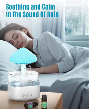 Rain Cloud Humidifier