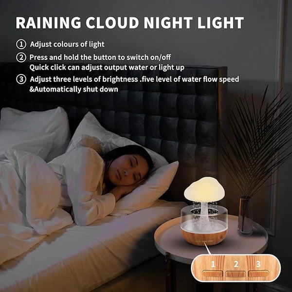 Rain Cloud Humidifier